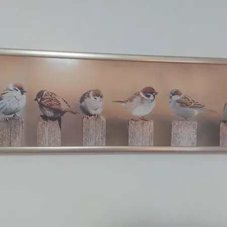 Dunja With Panoramic View * グロジュニャン